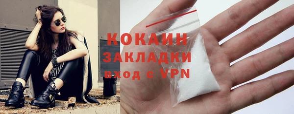 бошки Алексин