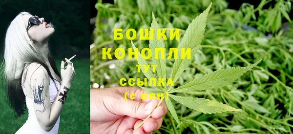 бошки Алексин
