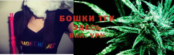 бошки Алексин