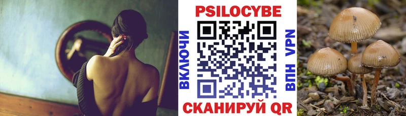хочу   Чердынь  KRAKEN ССЫЛКА  Псилоцибиновые грибы Psilocybe 